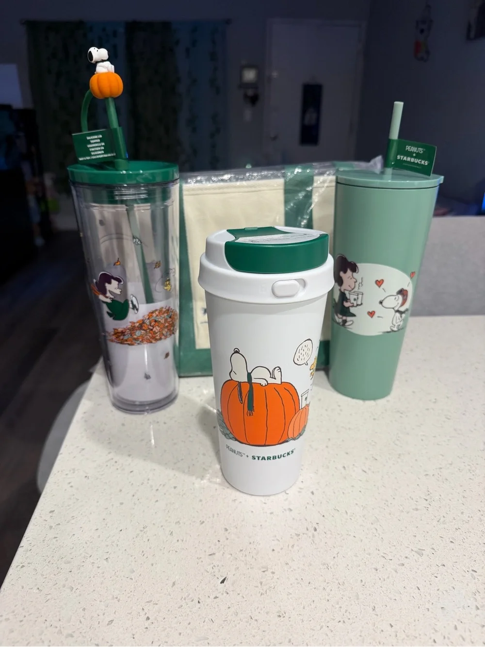Starbucks Peanuts Fall Tumbler Set in Green, White, Orange